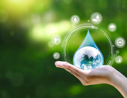How Can My Plumbing Can Me Conserve Water?
