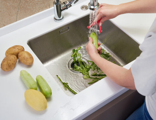 Do I Need to Maintain My Garbage Disposal?