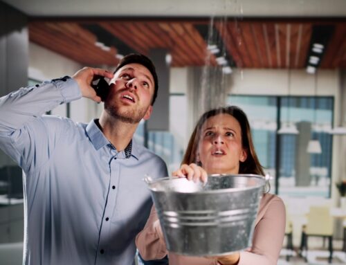 7 Warning Signs You May Have a Hidden Plumbing Leak